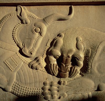 A Ferocious Lion Attacking a Bull (relief from the northern stairway facade of the Tripylon) by Achaemenid